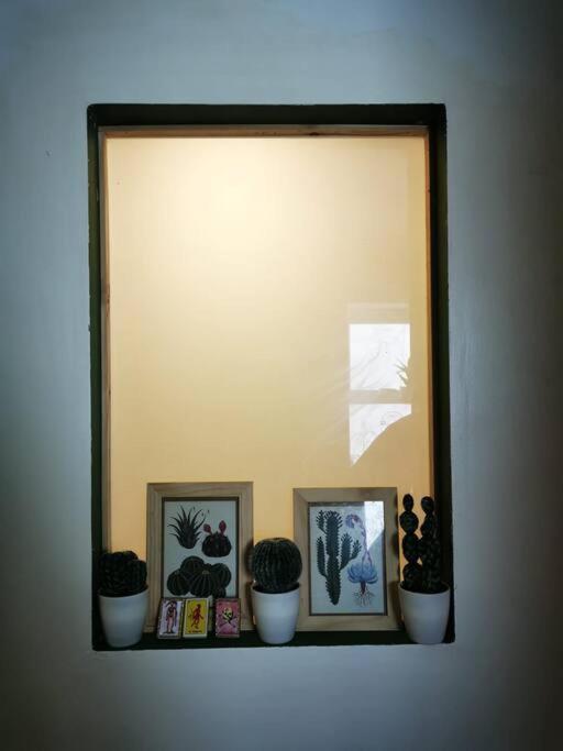 Bright, Roomy, Colourful Flat In Apartment Brighton